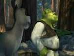 shrek-przerobka